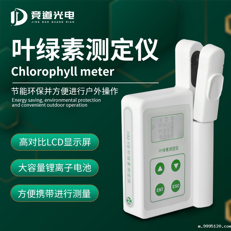 1640682284111984.jpg 1.jpg