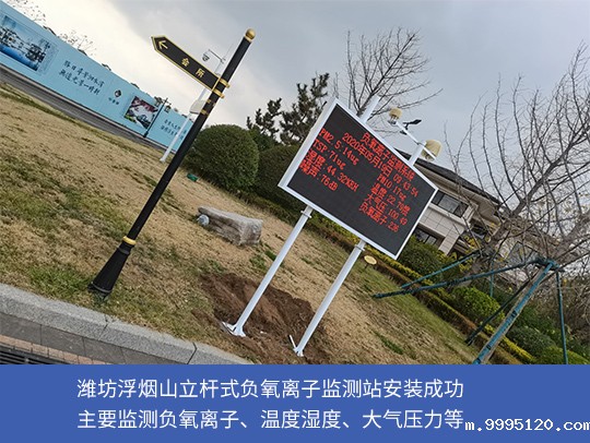 公园景区用负氧离子监测站