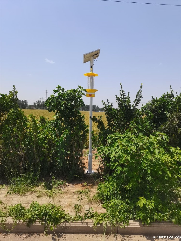 河南安阳双全村采购竞道光电科技智慧农业气象站