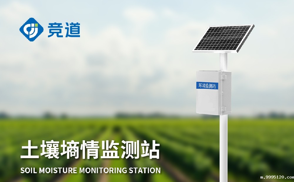 土壤墒情监测站在小麦种植中的作用