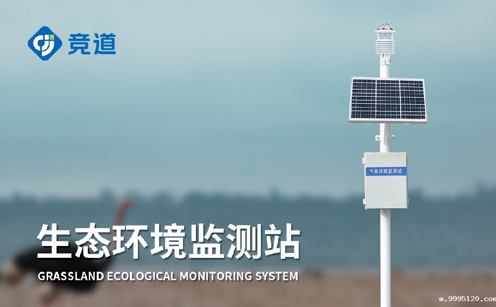 十要素气象站能够监测哪些气象要素